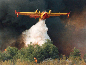 Francia env&iacutea bomberos y aviones anti-incendios a Catalu&ntildea