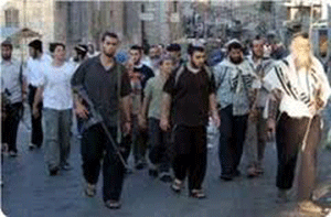 Carrera armamentística en círculos israelíes y el crimen organizado