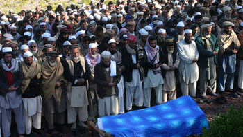 Pakistán: liberan a 8 líderes de Talibán