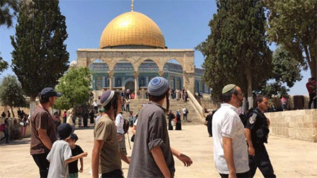 Los sionistas incrementan sus ataques contra palestinos