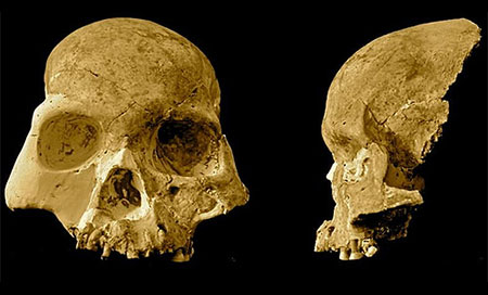 Científicos descubren una nueva especie humana