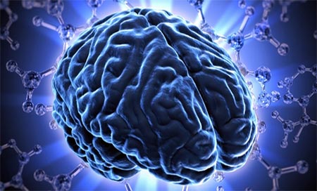 Detectan la zona cerebral responsable de decisiones estratégicos