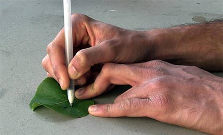 Las Tintas que permiten a cualquier persona crear sensores 