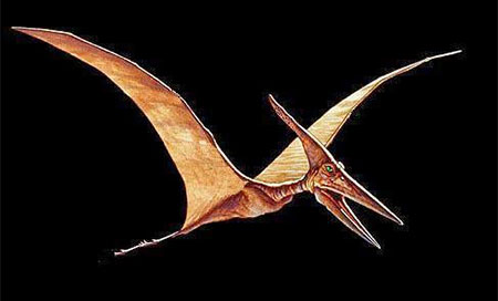 Encuentran una nueva especie de pterosaurio