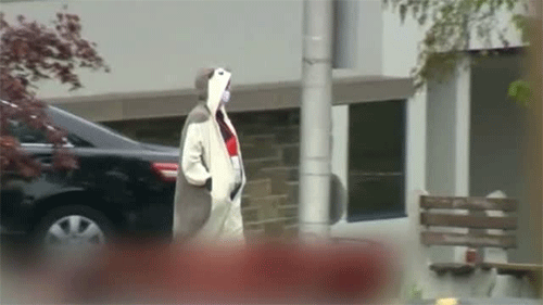 Disparan en Baltimore a un falso terrorista disfrazado de oso panda
