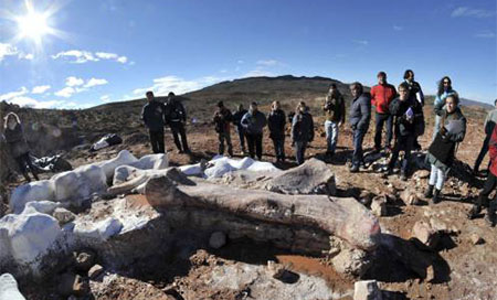 El dinosaurio terrestre más grande del mundo