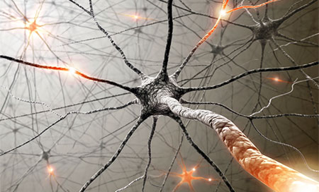 Un sistema nervioso artificial de nanotubos de polímero