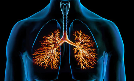Vitamina D previene las enfermedades respiratorias