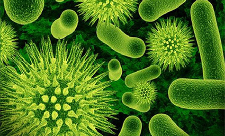 Un nuevo antibiótico contra las superbacterias 