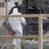 Artificieros de Ej&eacute;rcito británico desactivaron dos bombas