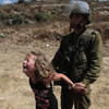 Soldados israelíes allanan las sedes de varias ONG palestinas