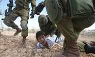 Latinoamericanos piden el fin de agresiones israelíes a Palestina