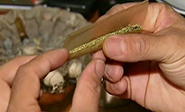 Obama: La marihuana no es más peligrosa que el alcohol o el tabaco