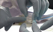 Crean una chip para controlar el cerebro y administrar fármacos