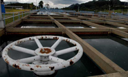 Titanio, grafeno y luz solar: la fórmula para purificar agua