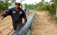 Según datos facilitados por el Gobierno