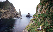 Un mapa japon&eacute;s otorga la soberanía de las islas Dokdo a Corea del Sur