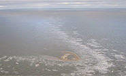 Rusia descubre una nueva isla en el Ártico