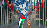 Consejo de Seguridad de la ONU rechaza resolución palestina
