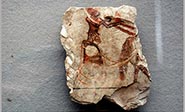 Una pieza de 2.000 años revela los impuestos de transferencia de tierras en Egipto 