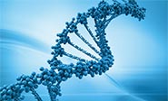 Inventan cadenas de ADN que imitan enfermedades