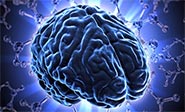 Detectan la zona cerebral responsable de decisiones estrat&eacute;gicos