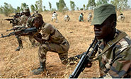 Nigeria sigue avanzando en el bosque de Sambisa