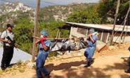 Encuentran más de 10 cuerpos en fosas clandestinas en Acapulco 