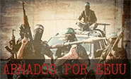 Dudas sobre la efectividad de la estrategia del Pentágono en Siria