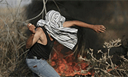 Toda Palestina se levanta contra la ocupación sionista