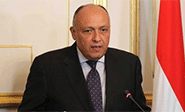 Egipto se aparta de la &ldquo;intervenci&oacute;n saud&iacute; en Siria&rdquo;
