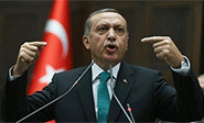Encarcelados cinco turcos por &ldquo;insulto&rdquo; al presidente Erdogan