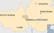 Etiop&iacute;a eleva a 208 los muertos por el ataque en Gambella
