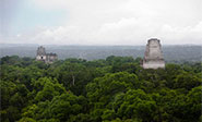 Posible descubrimiento de una ciudad maya ubicada en selva de Yucat&aacute;n