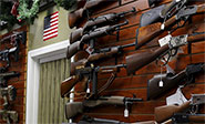 Proh&iacute;ben armas de asalto en dos estados de EEUU