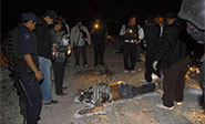 Aumenta la violencia vinculada al crimen organizado en M&eacute;xico