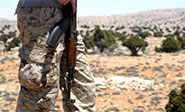 Ej&eacute;rcito de L&iacute;bano aborta un intento de asesinato en Arsal