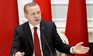 Erdogan dice que s&oacute;lo busca acabar con Bashar al Assad