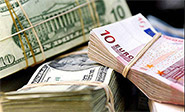El euro cae a su nivel m&aacute;s bajo en 20 meses 