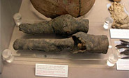 Las piezas que se conservan en Tur&iacute;n pertenecen a Nefertari