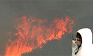 Alerta en Chile por un gigantesco incendio forestal en Valpara&iacute;so