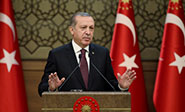 Turqu&iacute;a: Aprueban la reforma constitucional que permite un sistema presidencial