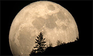 La Luna del lobo viene acompa&ntilde;ada por el &lsquo;cometa azul&rsquo;