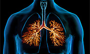 Vitamina D previene las enfermedades respiratorias