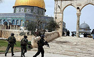La Polic&iacute;a de la ocupaci&oacute;n israel&iacute; detiene a vigilantes de la Explanada de Al Aqsa