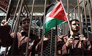 Prisioneros palestinos llevan diecis&eacute;is d&iacute;as en huelga de hambre