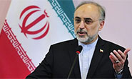 Pacto nuclear de Ir&aacute;n no es renegociable