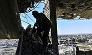 Daesh pierde su principal basti&oacute;n en Siria