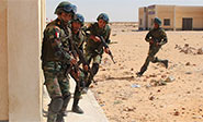 Enfrentamiento entre Polic&iacute;a y terroristas en Egipto