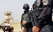 Egipto est&aacute; resuelto a eliminar el terrorismo en un plazo de tres meses